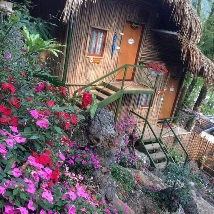 Green Hill Hostel & Tour Ha Giang Bagian luar foto